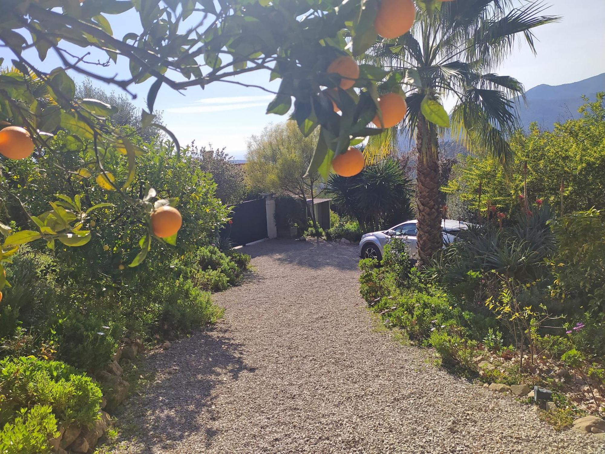 456 Chemin De La Pinede