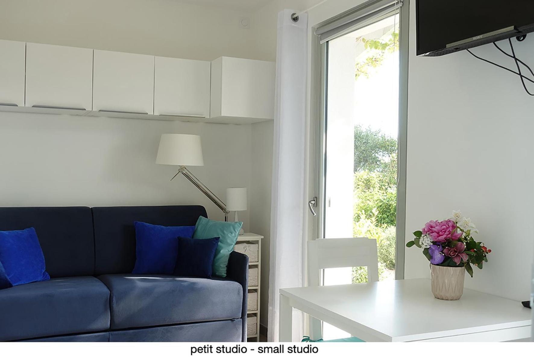456 Chemin De La Pinède Appartement *