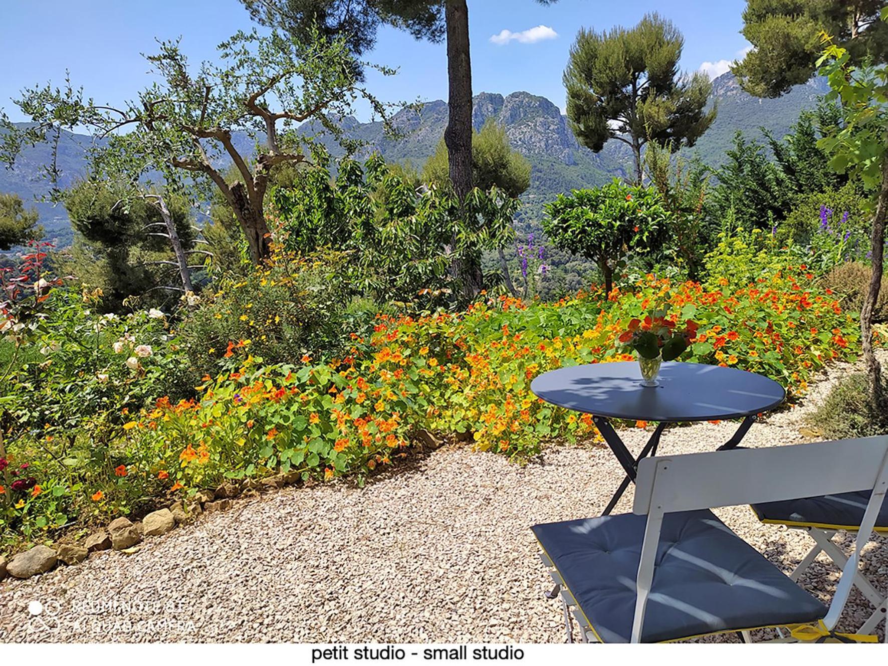 Apartment 456 Chemin De La Pinede *