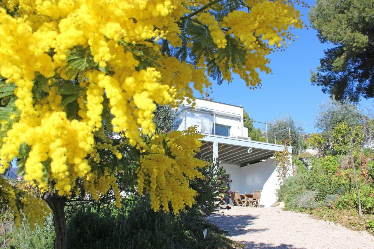 456 Chemin De La Pinede Menton